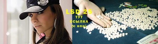 PSILOCYBIN Медвежьегорск