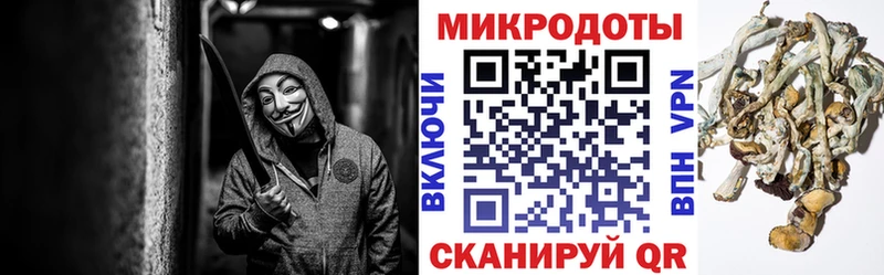 omg как войти Новый Уренгой Псилоцибиновые грибы мухоморы