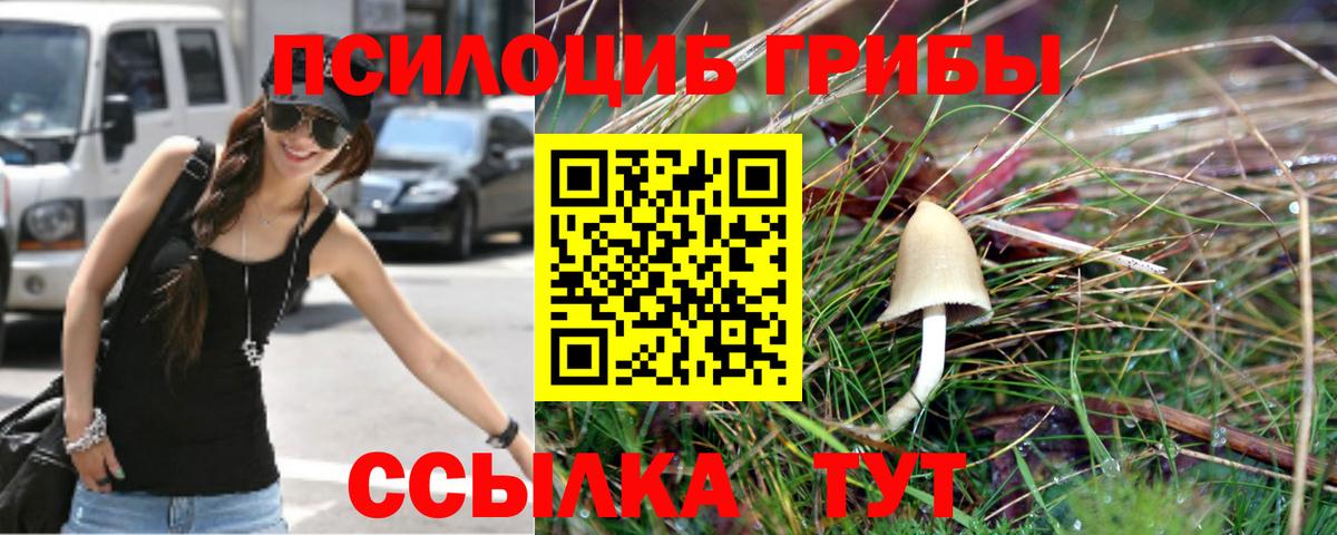 Новый Уренгой  Псилоцибиновые грибы MAGIC MUSHROOMS  цены наркотик  Вход с VPN 