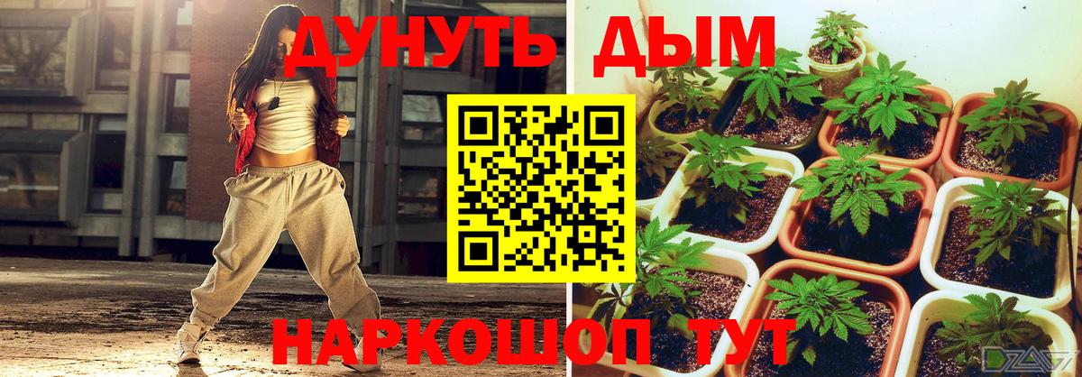 Конопля семена Новый Уренгой